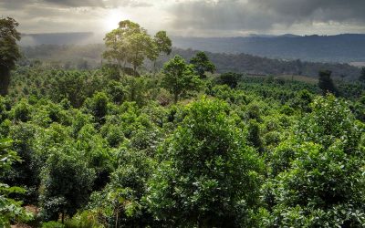 Filmtipp: ARTE Doku – Costa Rica