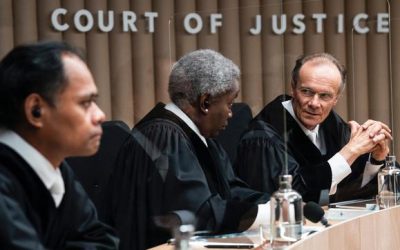 BaumInvest Filmtipp: Ökozid