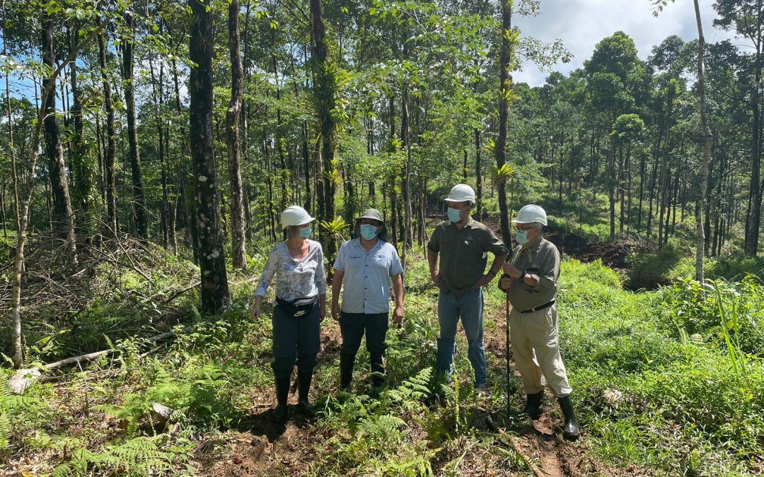 Reisebericht der Vorständin – Juni 2021