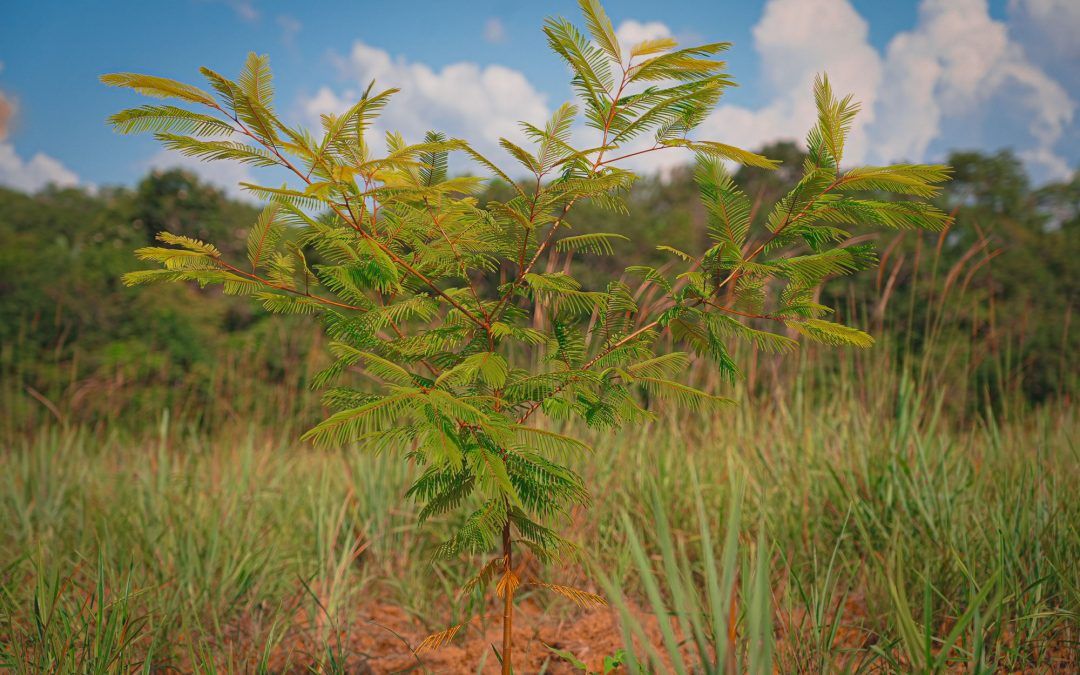 Initialzertifizierung in Kolumbien