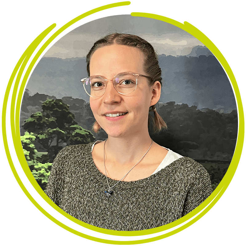 Lion - Wachhund der BaumInvest AG