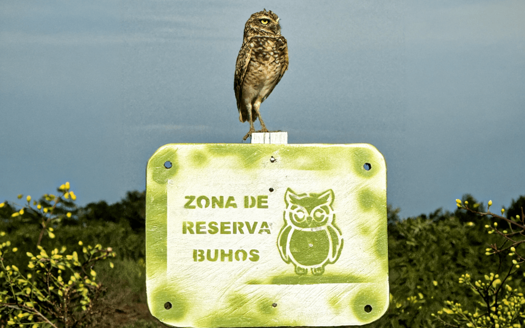 Kolumbien 2026: Einblicke in unsere Projekte rund um El Capricho