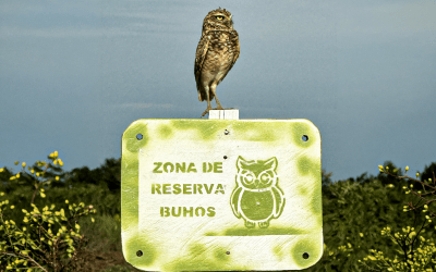 Kolumbien 2026: Einblicke in unsere Projekte rund um El Capricho