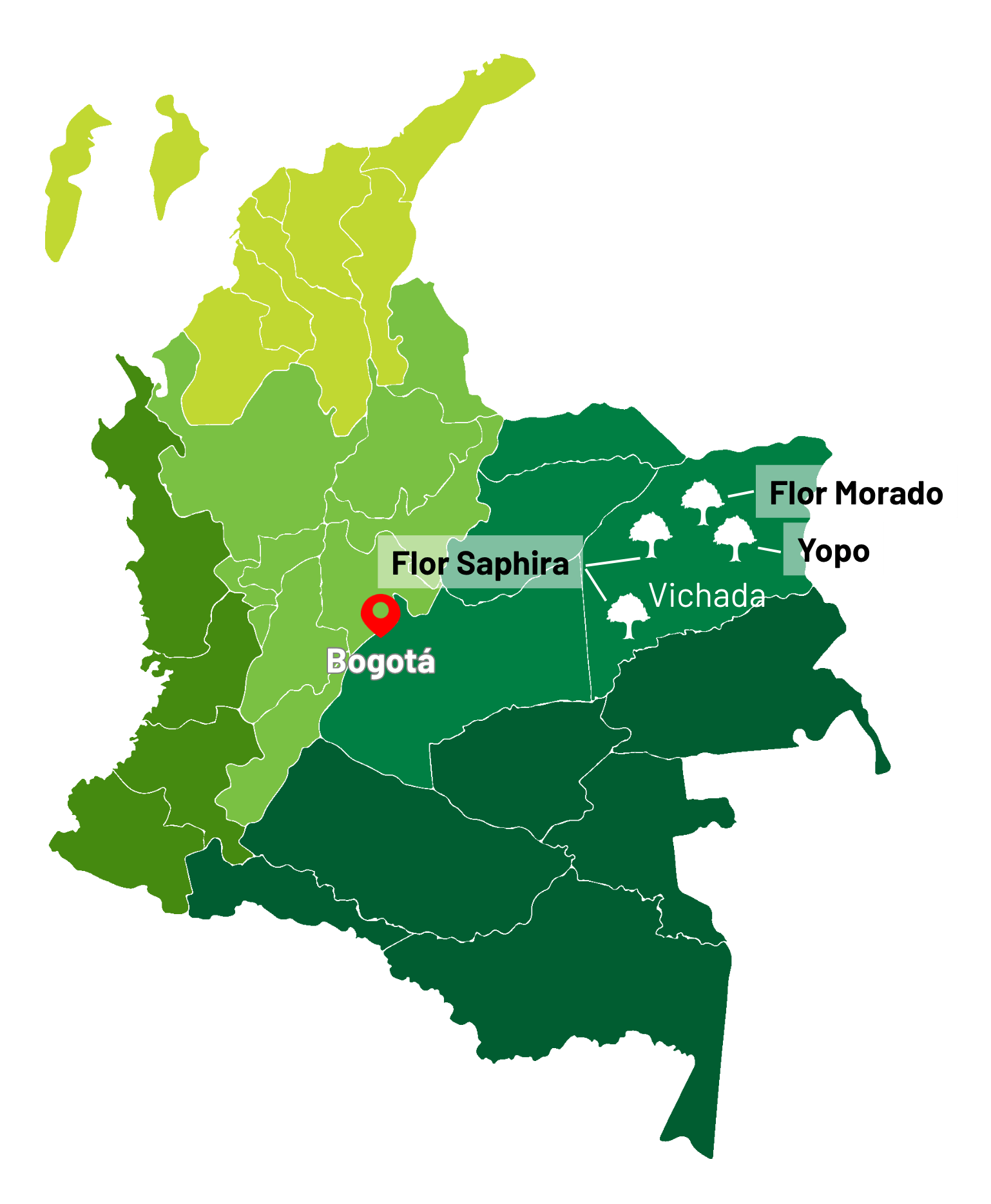 And since the end of 2022, our second project location has been Colombia.